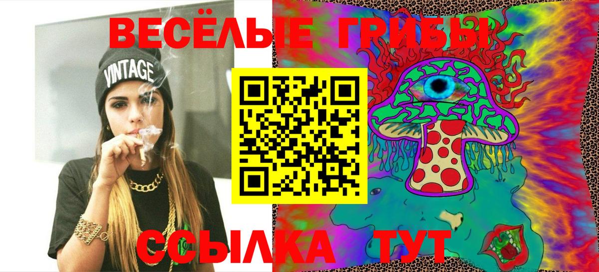 Красноперекопск  Галлюциногенные грибы Cubensis  Вход с VPN 